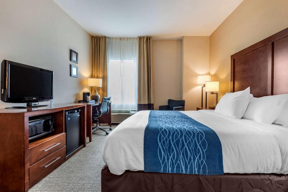 Comfort Inn Apalachin / Binghamton W Route 17