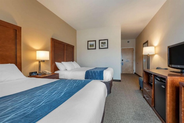 Comfort Inn Apalachin / Binghamton W Route 17 image 10