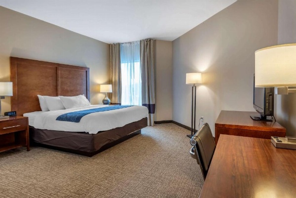 Comfort Inn Apalachin / Binghamton W Route 17 image 12