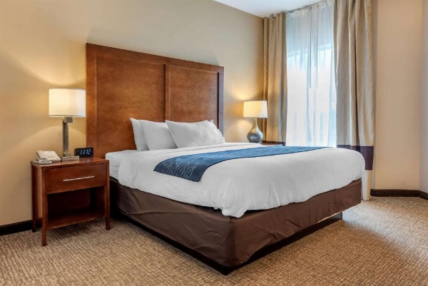 Comfort Inn Apalachin / Binghamton W Route 17 image 13