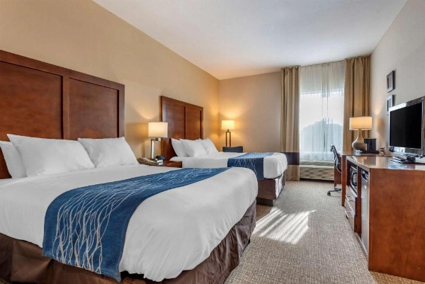 Comfort Inn Apalachin / Binghamton W Route 17 image 15
