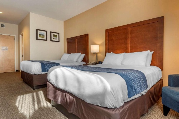 Comfort Inn Apalachin / Binghamton W Route 17 image 17