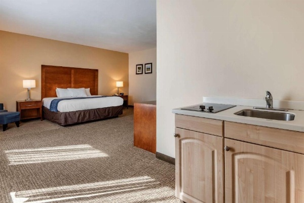 Comfort Inn Apalachin / Binghamton W Route 17 image 19