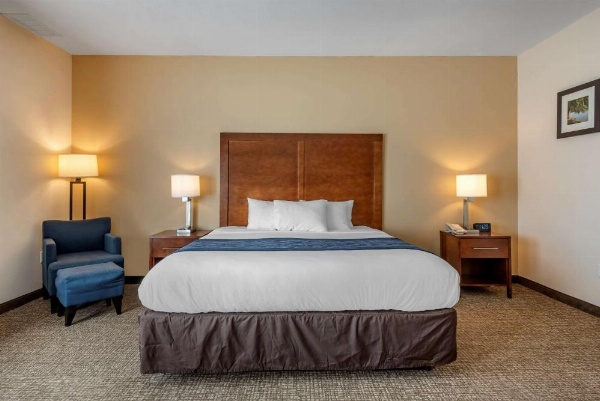 Comfort Inn Apalachin / Binghamton W Route 17 image 20