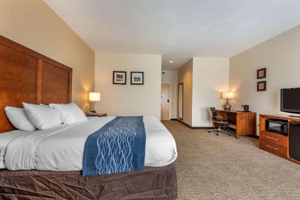 Comfort Inn Apalachin / Binghamton W Route 17 image 21