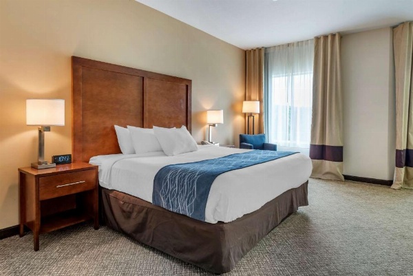 Comfort Inn Apalachin / Binghamton W Route 17 image 22