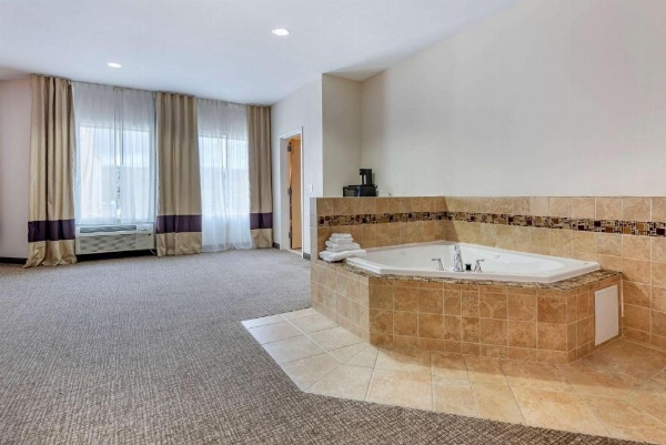 Comfort Inn Apalachin / Binghamton W Route 17 image 23
