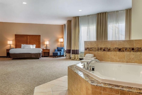 Comfort Inn Apalachin / Binghamton W Route 17 image 24