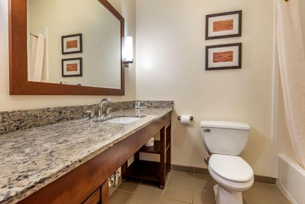 Comfort Inn Apalachin / Binghamton W Route 17 image 25
