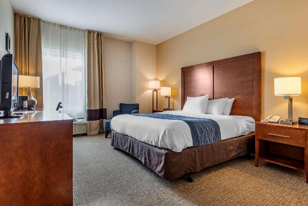 Comfort Inn Apalachin / Binghamton W Route 17 image 3
