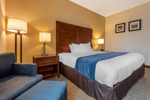 Comfort Inn Apalachin / Binghamton W Route 17 image 5