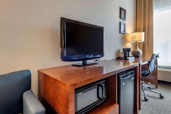 Comfort Inn Apalachin / Binghamton W Route 17 image 8