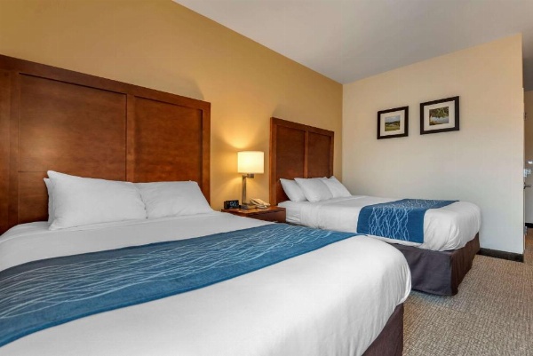 Comfort Inn Apalachin / Binghamton W Route 17 image 9